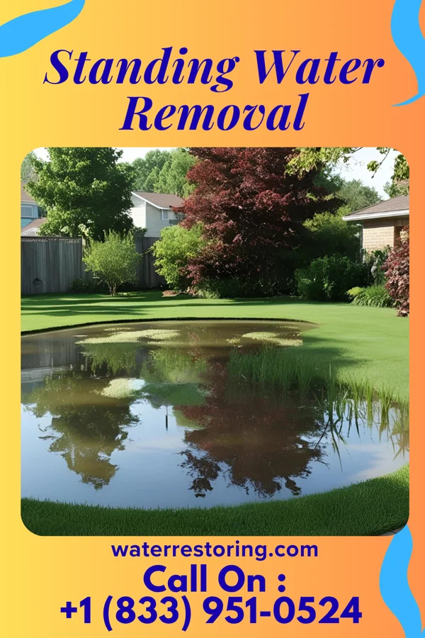 Standing Water Removal in Gruver, TX